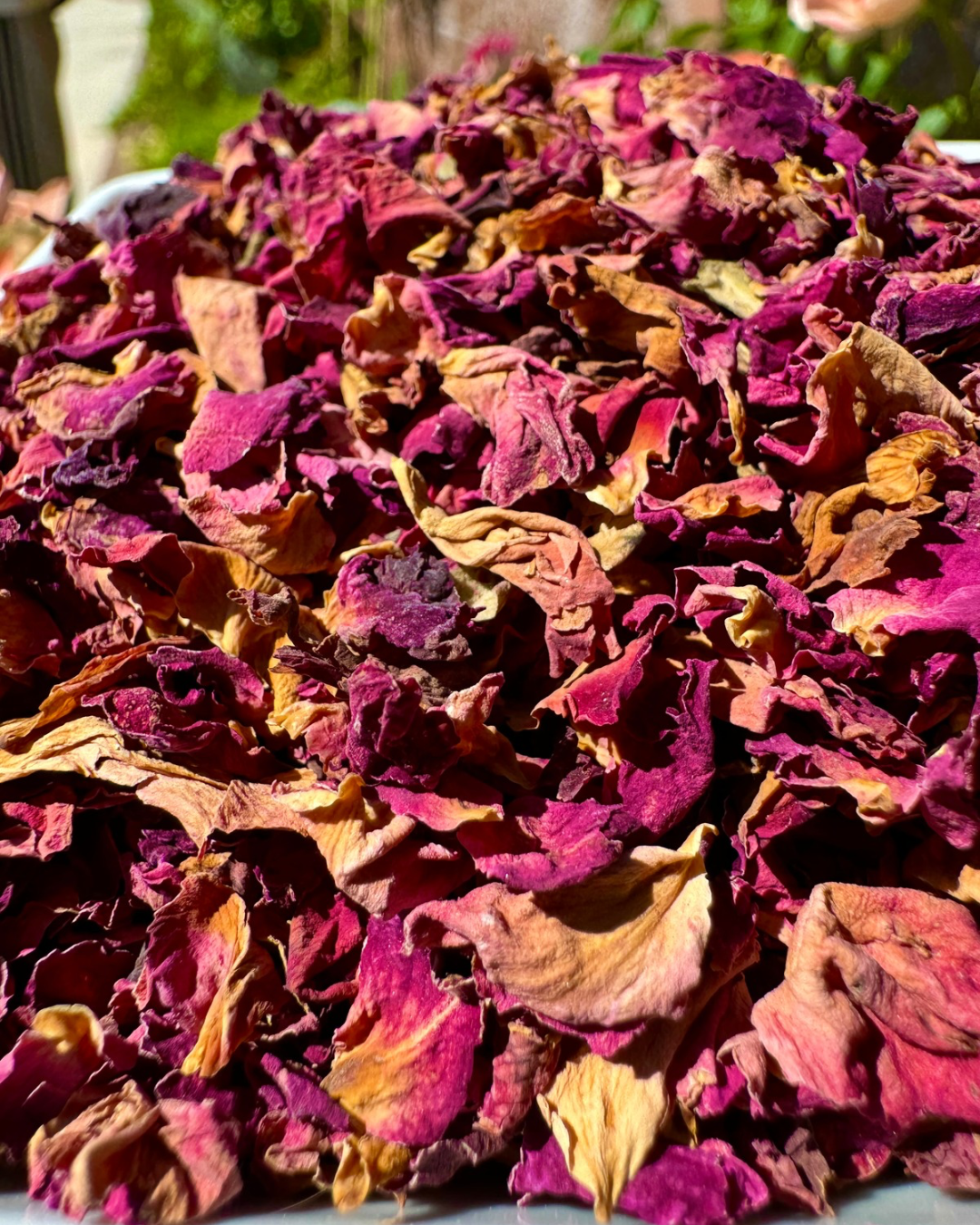 Rose Petals